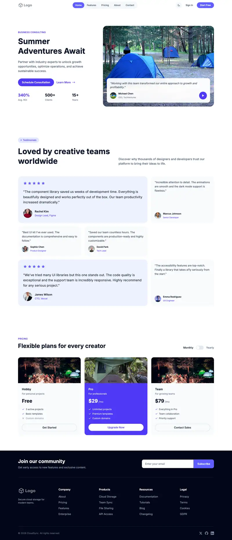 Summer Camp website template preview