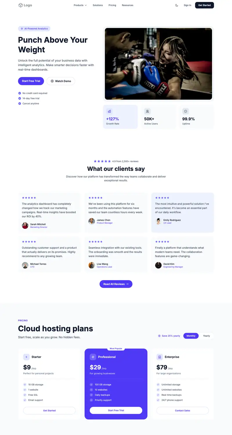 Boxing Gym website template preview