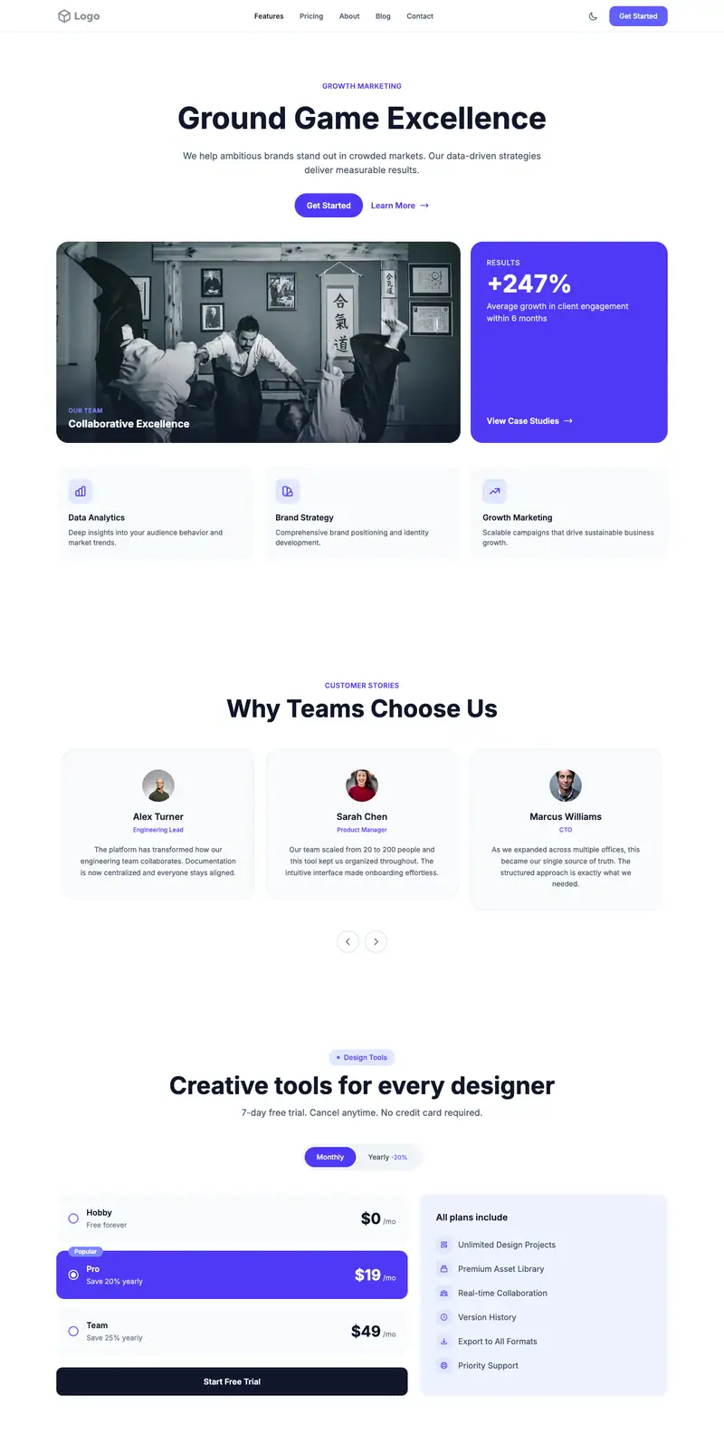 Jiu Jitsu Academy website template preview
