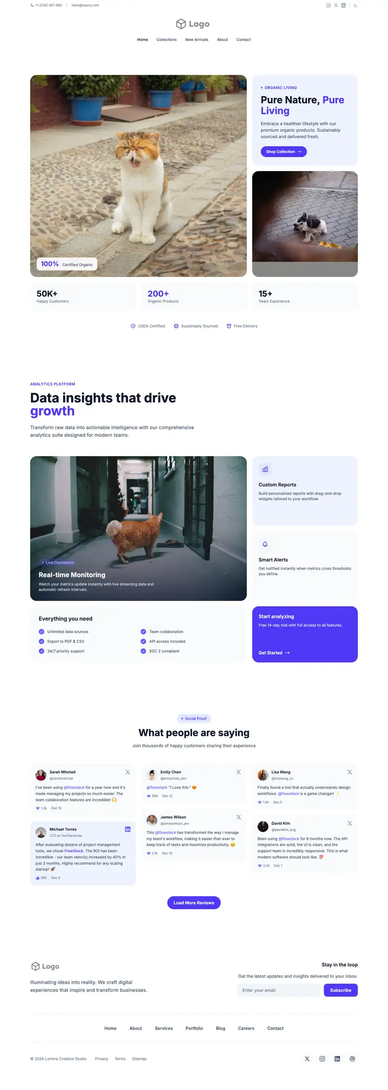 Pet Emergency Hospital website template preview