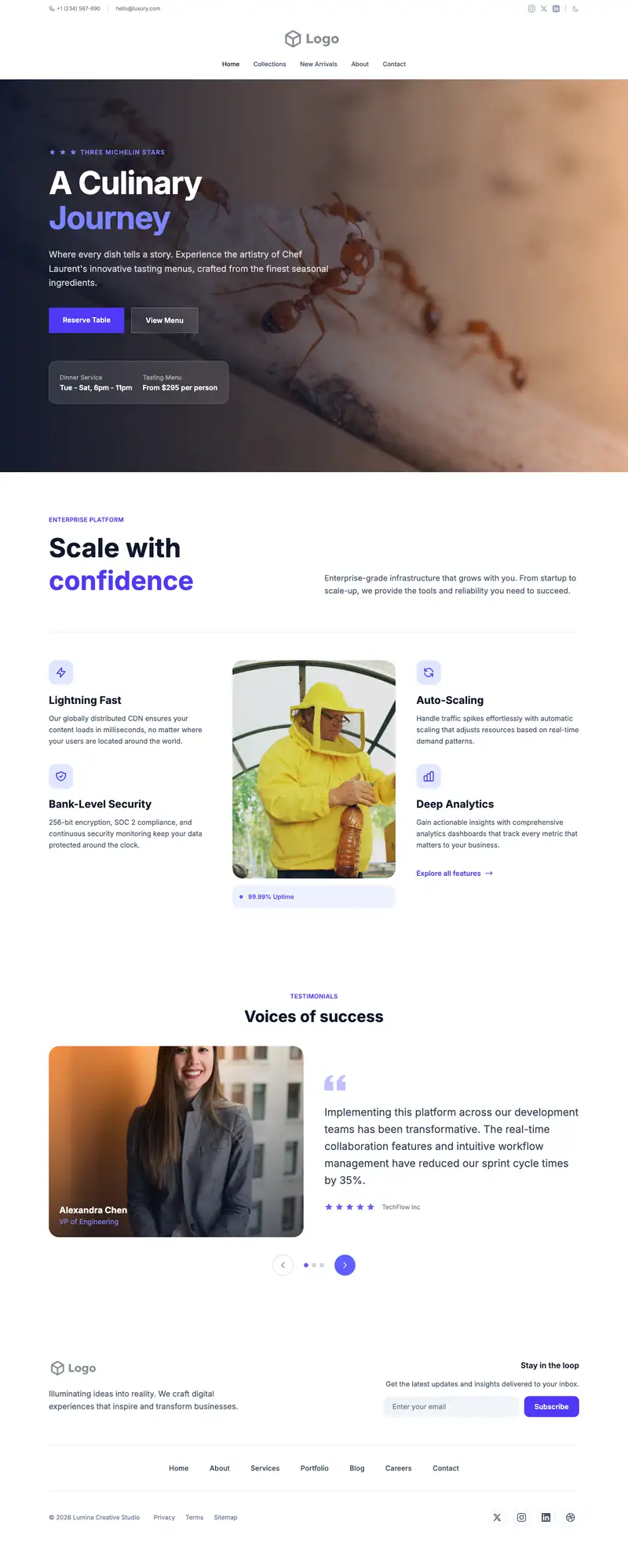 Termite Control website template preview
