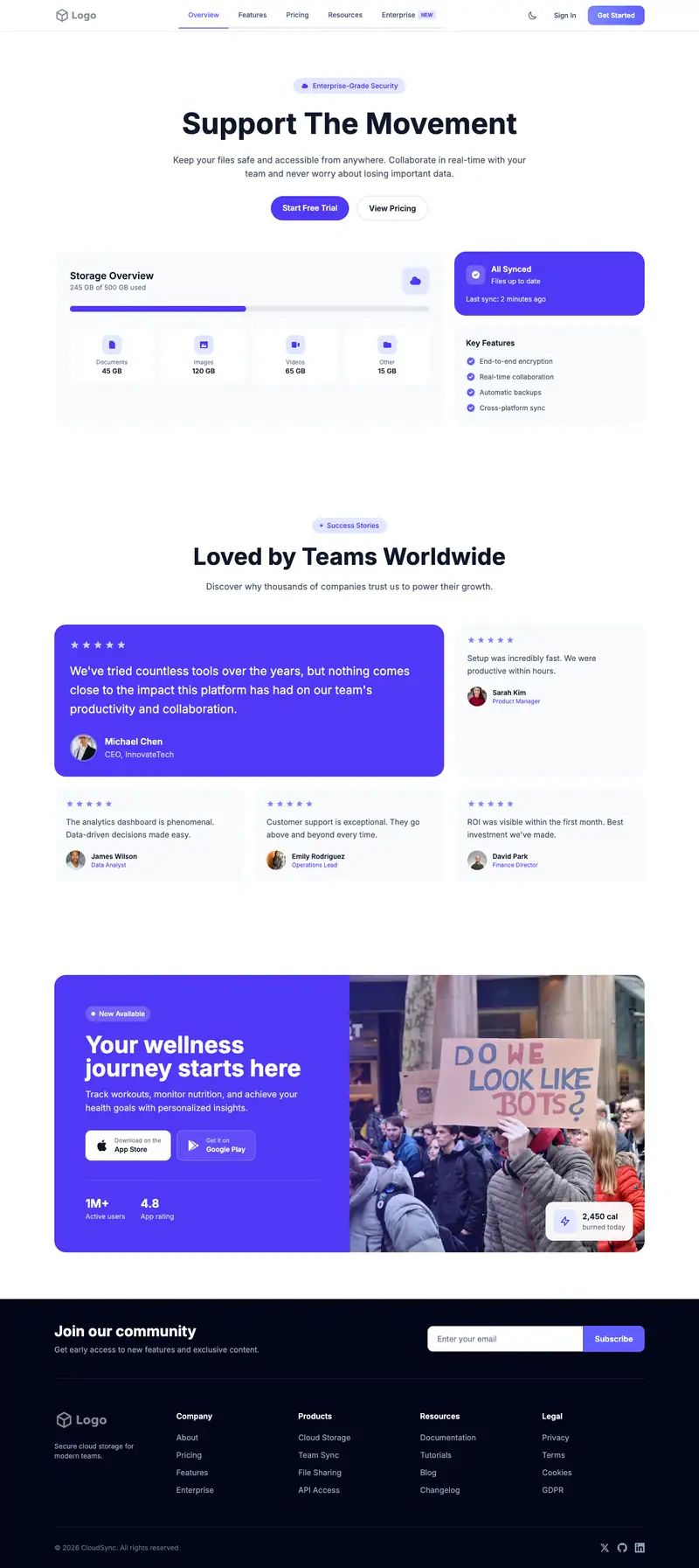Political Fundraising website template preview
