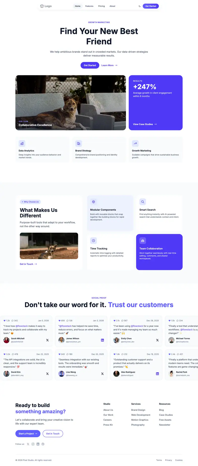 Animal Shelter website template preview