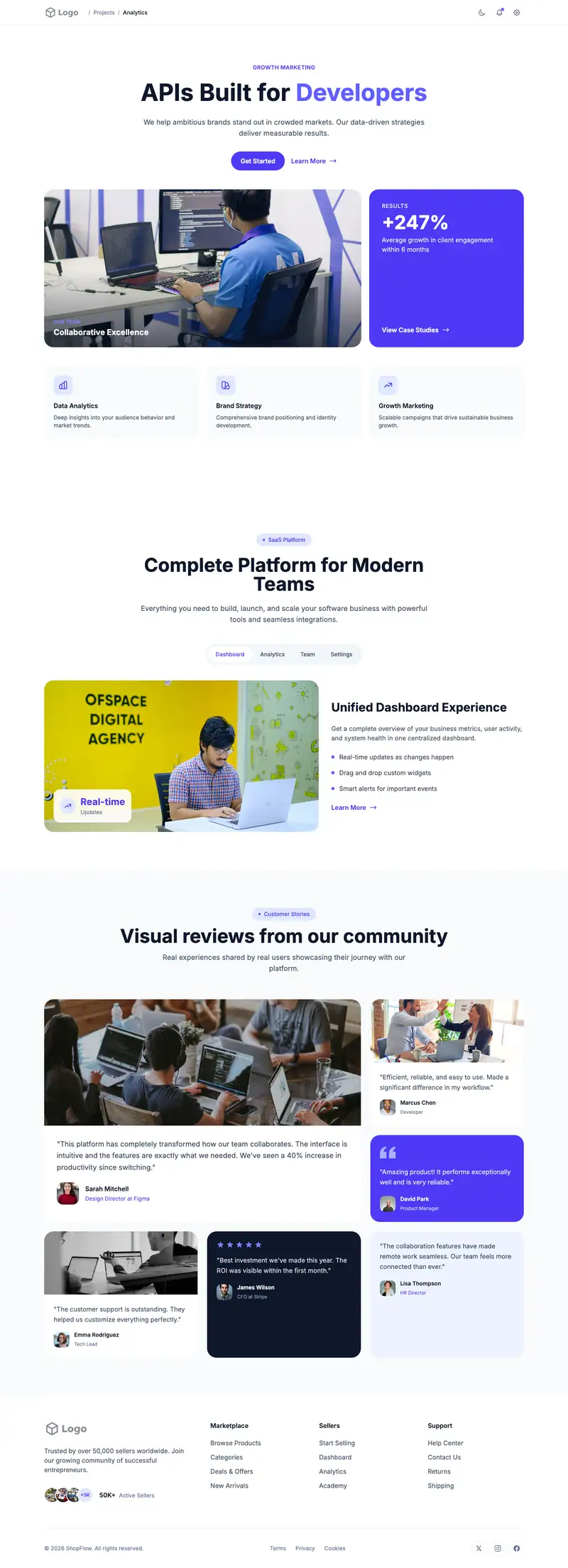 API Platform website template preview