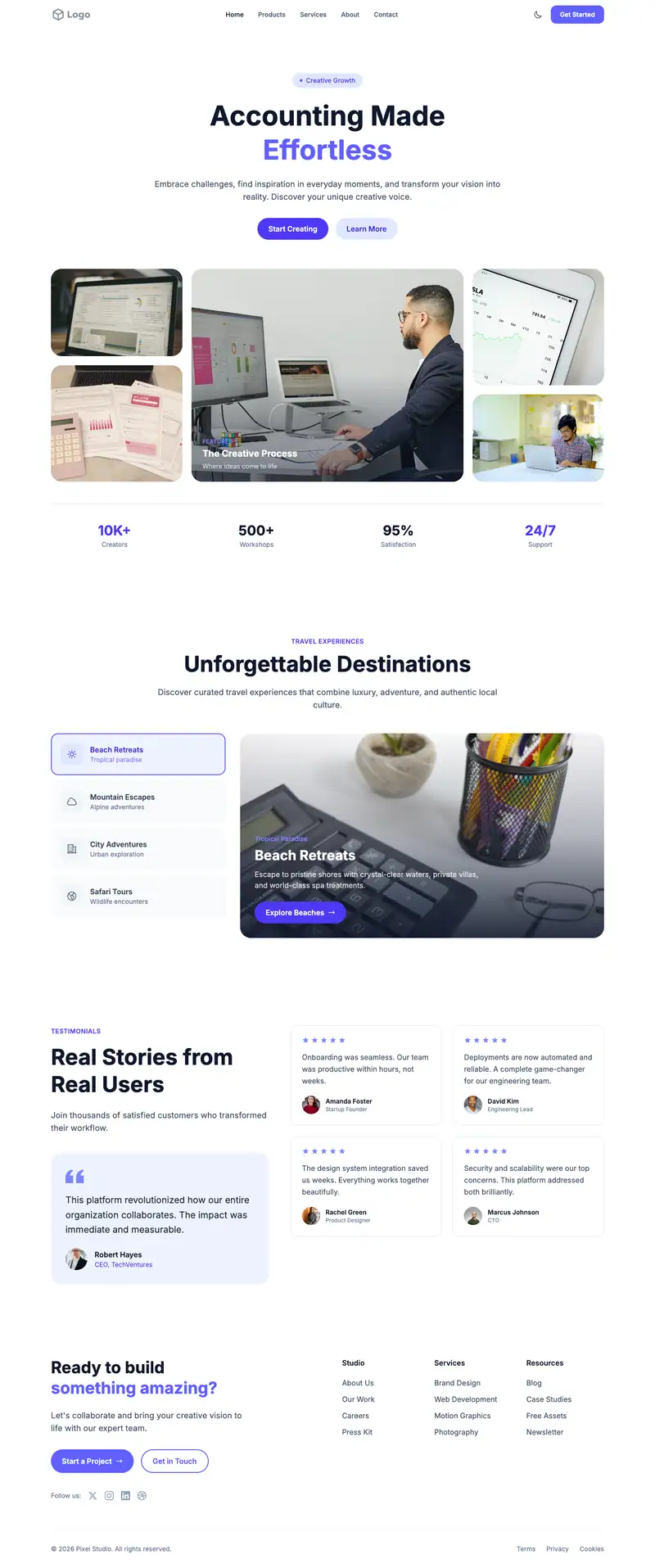 Accounting Software website template preview